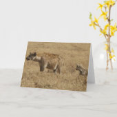 ハイエナ カード (黄色い花)