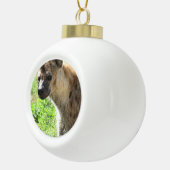 ハイエナ セラミックボールオーナメント (右)