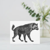 ハイエナ ポストカード (スタンド正面)