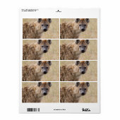 ハイエナ ラベル (フルシート)