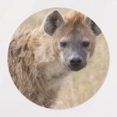 ハイエナ ラベル (デザイン2)