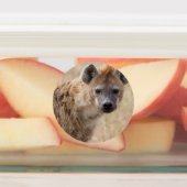 ハイエナ ラベル (貼付)