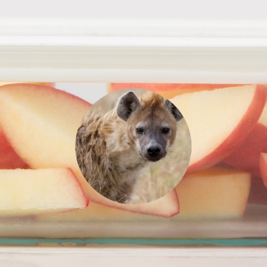 ハイエナ ラベル (貼付)