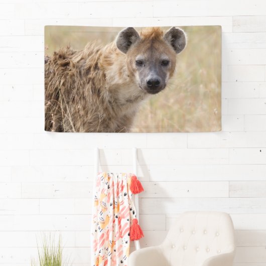 ハイエナ 横断幕 (インサイチュ)