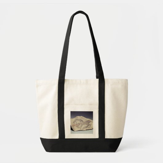ハイエナ(limestonを追跡している犬を描写するOstracon トートバッグ (正面)