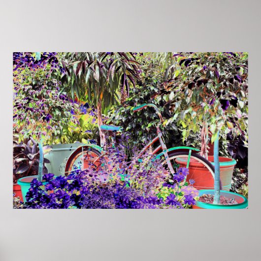 ハイカラー自転車 ポスター (正面)