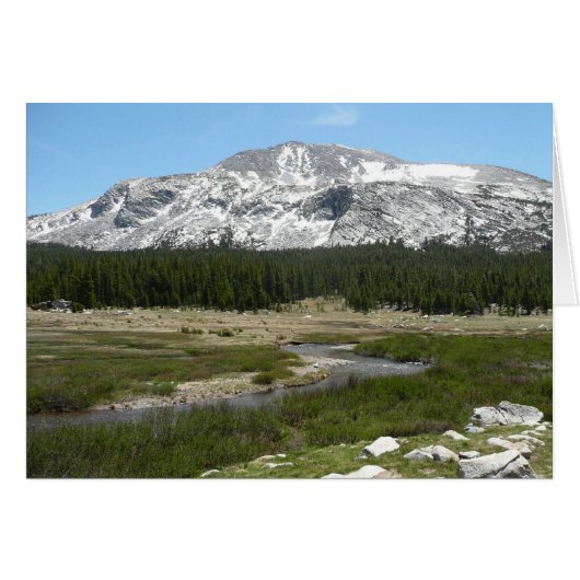 ハイカントリーマウンテンストリームI (正面横)