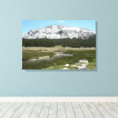 ハイカントリーマウンテンストリームI キャンバスプリント (インサイチュ (ウッドフロア))