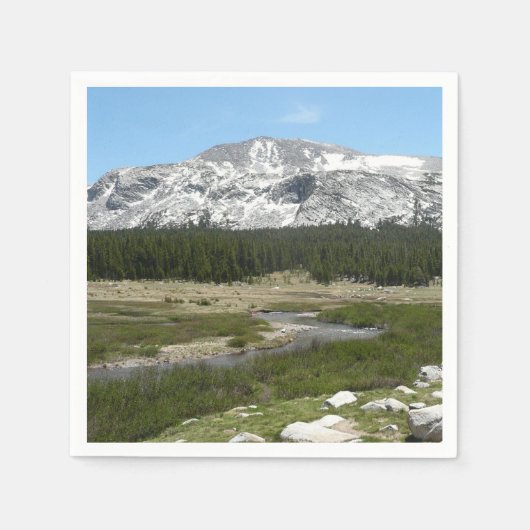 ハイカントリーマウンテンストリームI スタンダードカクテルナプキン (正面)