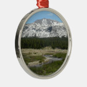ハイカントリーマウンテンストリームI メタルオーナメント (右)