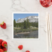 ハイカントリーマウンテンストリームIIアットヨセミテ スタンダードカクテルナプキン (インサイチュ)