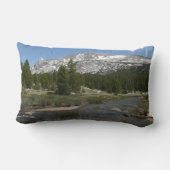 ハイカントリーマウンテンストリームIIアットヨセミテ ランバークッション (裏面)