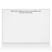 ハイカントリーワイルドフラワー牧草地グリーティングカード (内部横(上))