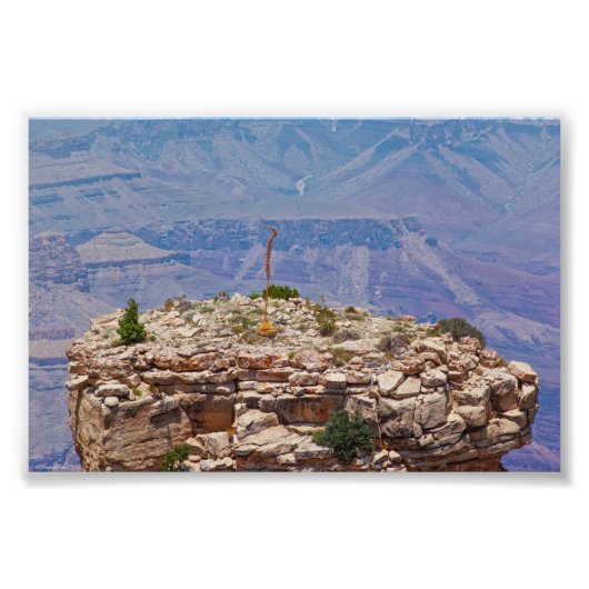 ハイガーデン フォトプリント            (正面)