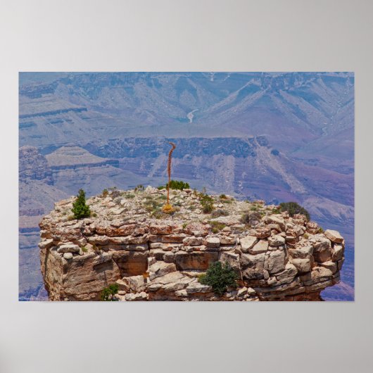 ハイガーデン ポスター (正面)