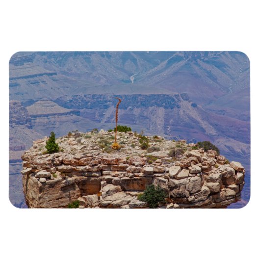 ハイガーデン マグネット (横)