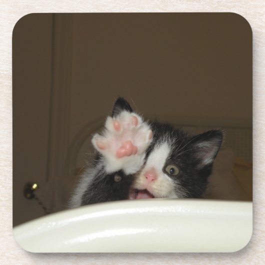 「ハイキットン！」コースター コースター (正面)