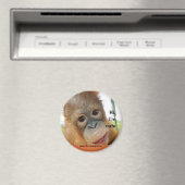 ハイキュートベビーオラングタン マグネット (インサイチュ (食洗機))