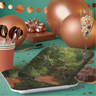 ハイキングだ！ギフトアイディア ペーパープレート