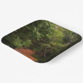 ハイキングだ！ギフトアイディア ペーパープレート (傾斜あり)