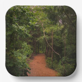 ハイキングだ！ギフトアイディア ペーパープレート (正面)