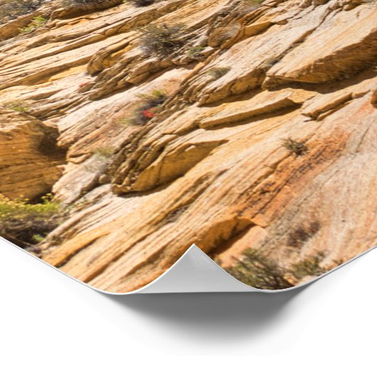 ハイキングに行く ポスター (角)