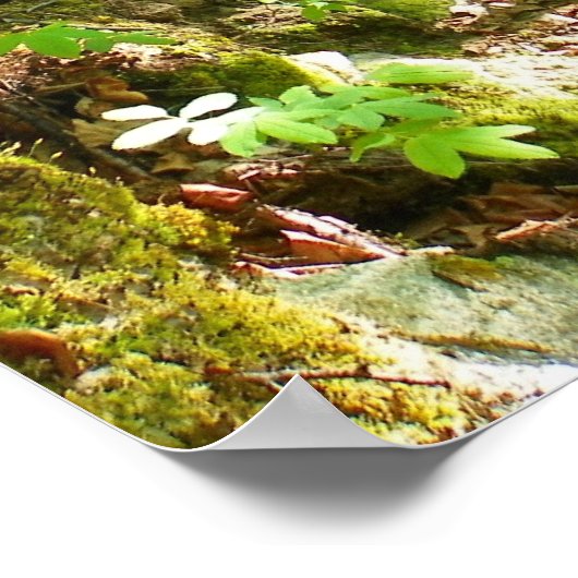 ハイキングに行く ポスター (角)