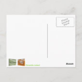 ハイキングスマーク、アイスランドハガキ ポストカード (裏面)