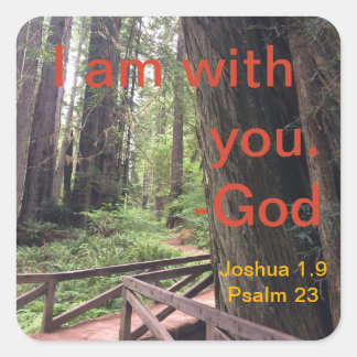 ハイキングトレイルオリンピック国立公園 スクエアシール