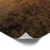 ハイキングトレイル ポスター (角)