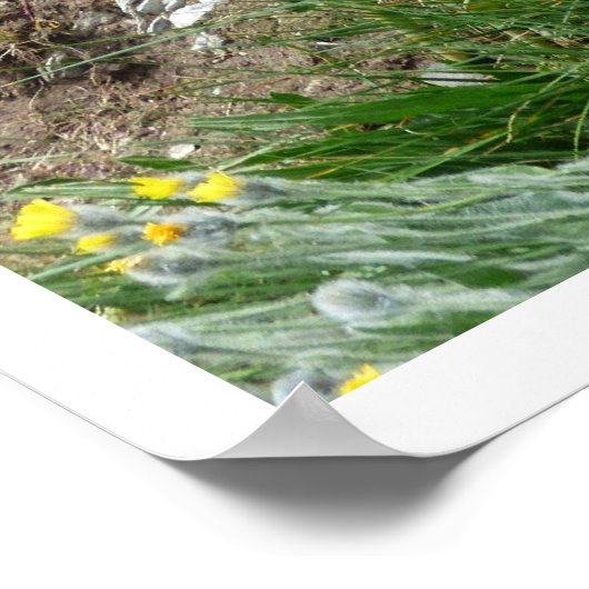 ハイキングポール、トレイルマーカー、アルプスのグランドツアー ポスター (角)