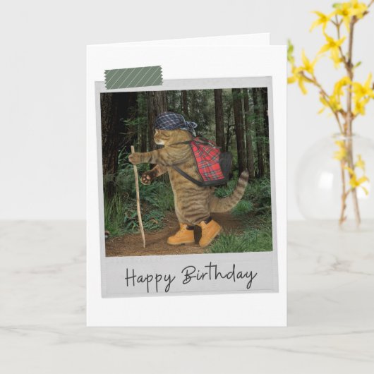 ハイキング猫おもしろい誕生日カード カード (黄色い花)