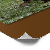 ハイキング！ ポスター (角)