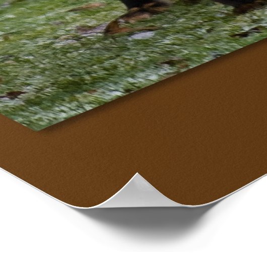 ハイキング！ ポスター (角)