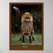 ハイキング！ ポスター (正面)