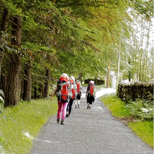 ハイキング ポストカード