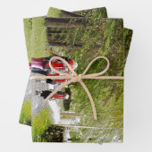 ハイキング ラッピングペーパーシート (インサイチュ)