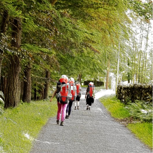 ハイキング 缶バッジ