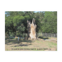 ハイキングinプレザントン, CA 6