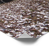 ハイコットン ポスター (角)