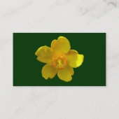 ハイコムハイトコート – ダークグリーン 名刺 (裏面)