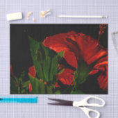 ハイコントラストハイビスカスフラワーフォトイラストレーション 薄葉紙 (クラフト)