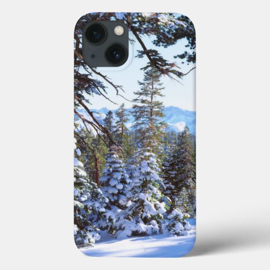 ハイシエラ2の雪に覆われた赤いモミの木 Case-Mate iPhoneケース (裏面)