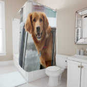 ハイシャワーカーテン シャワーカーテン (インサイチュ)