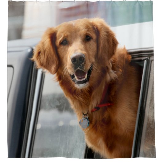 ハイシャワーカーテン シャワーカーテン (正面)