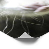 ハイジザクロスアイドオポッサム ポスター (角)