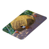 ハイスタックケララ マグネット (左側)