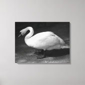 ハイス キャンバスプリント (正面)