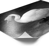 ハイス フォトプリント            (角)