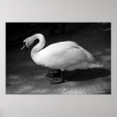 ハイス ポスター (正面)